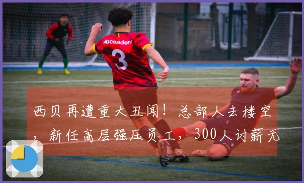 西贝再遭重大丑闻！总部人去楼空，新任高层强压员工，300人讨薪无果