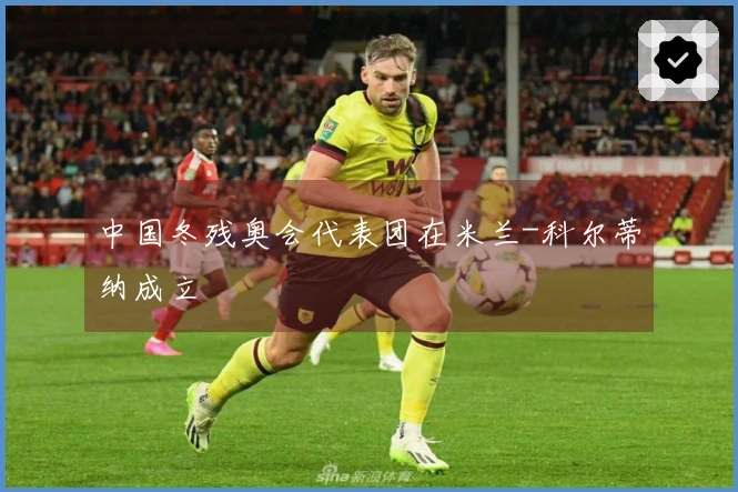 中国冬残奥会代表团在米兰-科尔蒂纳成立