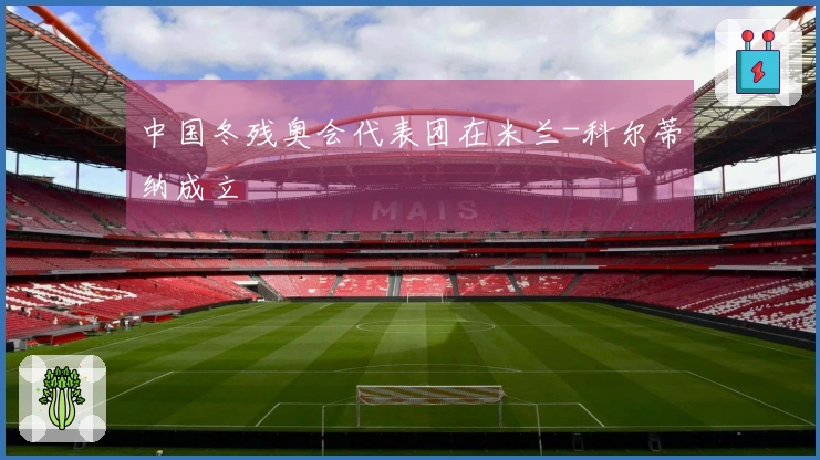 中国冬残奥会代表团在米兰-科尔蒂纳成立